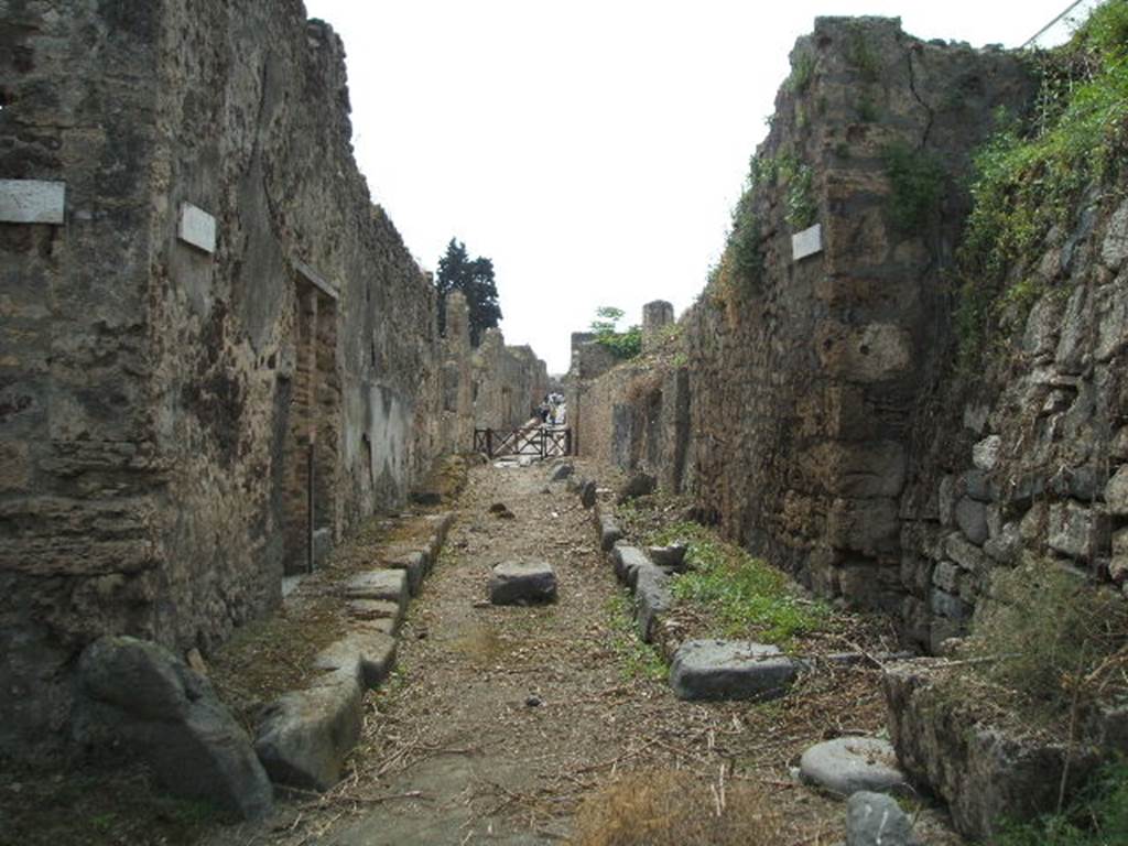 V.1.11 Pompeii, on the left. Vicolo delle Nozze d’Argento, looking west. May 2005.  
On the right is the blocked vicolo between V.6 and V.7.
Then on the corner of V.6.c, opposite the rear entrance at V.1.11/12, would have been the graffiti below.
According to Della Corte, two graffiti were found on the right side of the entrance doorway of V.6.c.
These he said, proved that the inhabitant of the house was Circineo Crescente.
Circinaeus  hic  habitat      [CIL IV 7037]
Circinaeus  Cresce(n)s  hic  (habitat)      [CIL IV 7067]

Della Corte said that Circineo Crescente also declared himself indebted to the author of the notice painted on the corner of the insula:
Stercorari, ad murum progredere. Si presus fueris, poena patiare necesse est, cave.   [CIL IV 7038]
A 1963 translation was -
Evacuator, go near the wall. If they catch you in the fact, you will pay dear for your fault. Be careful.
See Pompeii: A little guide with 21 illustrations. Pompei: Tipografia Sicignano, 1963.

According to Epigraphik-Datenbank Clauss/Slaby (See www.manfredclauss.de), CIL IV 7038 may be read as:
Stercorari
ad murum
progredere si
pre(n)sus fueris poena(m)
patiare neces(s)e
est cave
According to Varone and Stefani, CIL IV 7038 was painted on the south-east corner. It is no longer visible.
See Varone, A. and Stefani, G., 2009. Titulorum Pictorum Pompeianorum, Rome: L’erma di Bretschneider, (p.307)
The picture on page 307, dated around 1905, does show the graffito in situ. 
It may have been found on the west side of the corner of the blocked vicolo, where a whitish patch can be seen on the wall in the photo above.
