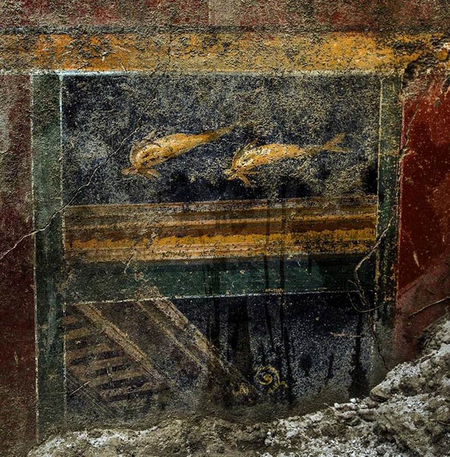 V.7.7 Pompeii. 2018. Dolphin painting that gave the house its new name Casa dei Delfini.
Along the northern part of the Vicolo delle Nozze d'Argento, the re-profiling of the excavation fronts made it possible to discover the front of some houses with richly frescoed rooms. The frescoed environments that emerged right in front of [opposite] the entrance to the Silver Wedding House suggested the name of this Domus: "Casa dei Delfini" because in the entrance (fauces), richly decorated on a red background, two small squares with a couple of dolphins appear, as well as various animals and architectural perspectives.

To the west of the entrance a room was investigated in which it is possible to recognize an older fresco decoration, then covered with a richer fourth-style decoration. It is possible that the oldest decoration is prior to the earthquake of 62, while the last decoration refers to renovations following this event.

Photo courtesy MiBAC. Use subject to Creative Commons Attribuzione 3.0 (CC-BY-3.0)
