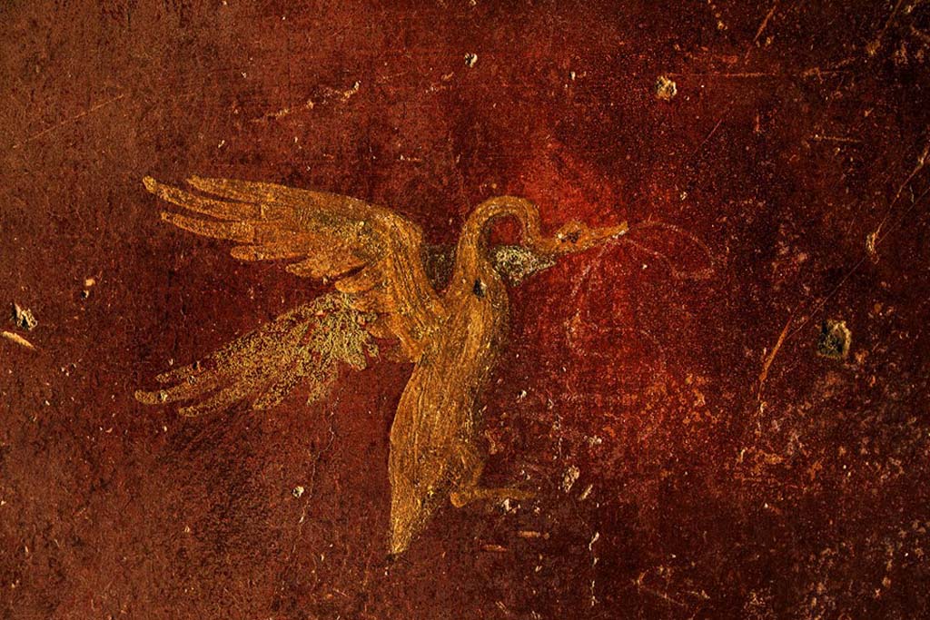 V.7.7 Pompeii. 2018. East wall? Painted swan with ribbon in its beak.
Photograph © Parco Archeologico di Pompei.

