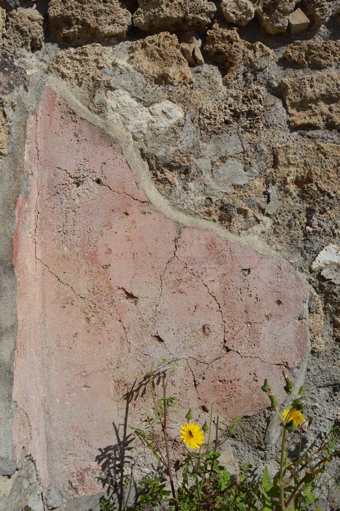 VI.1.5 Pompeii. March 2019. 
Looking east to west exterior wall, with detail of remaining plaster/stucco.
Foto Taylor Lauritsen, ERC Grant 681269 DÉCOR.
