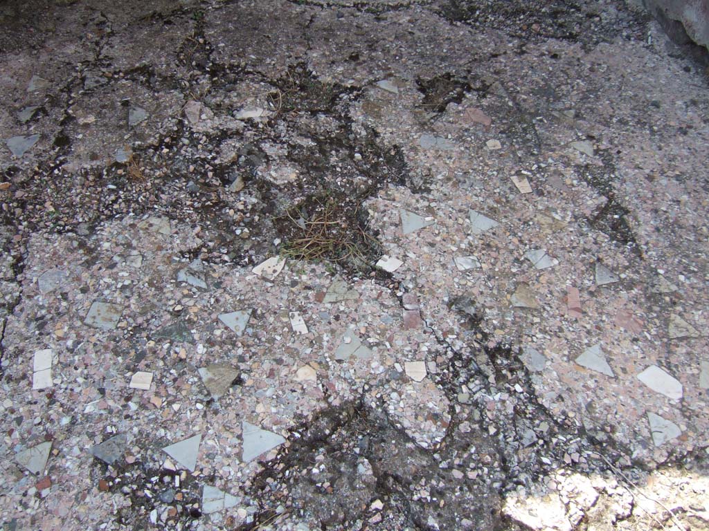 VI.2.22 Pompeii. September 2005. 
Floor of cubiculum, in north-west corner of atrium, decorated with scattered tiles of coloured marble and limestone. 
