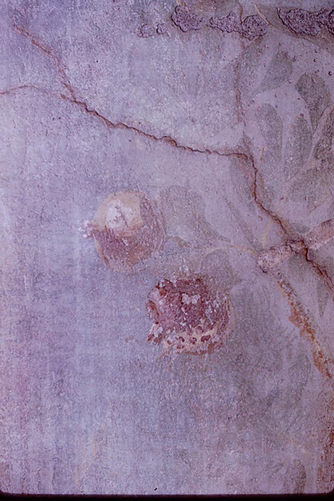 VI.7.18 Pompeii. 1966. 
Detail of painted garden fruit on north wall. Photo by Stanley A. Jashemski.
Source: The Wilhelmina and Stanley A. Jashemski archive in the University of Maryland Library, Special Collections (See collection page) and made available under the Creative Commons Attribution-Non Commercial License v.4. See Licence and use details.
J66f0683
