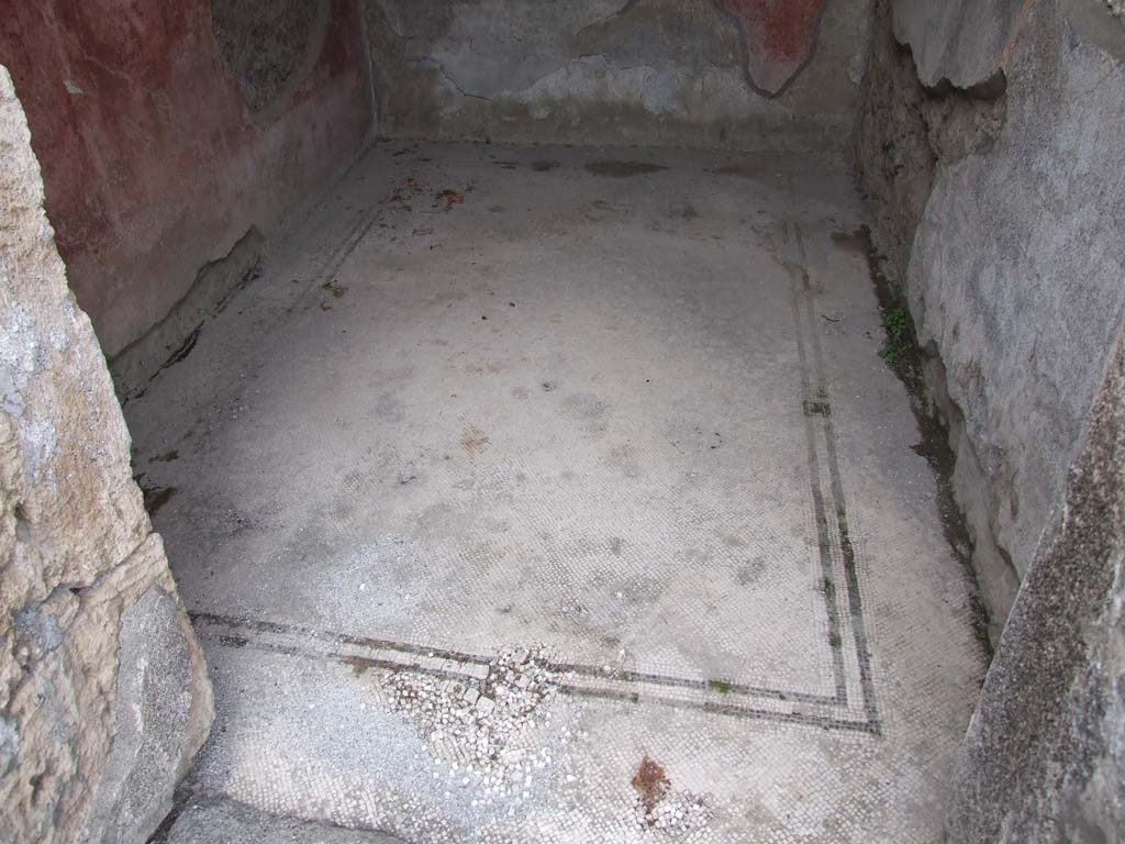 VI.7.18 Pompeii. December 2006. Mosaic floor in room to north of entrance corridor.
