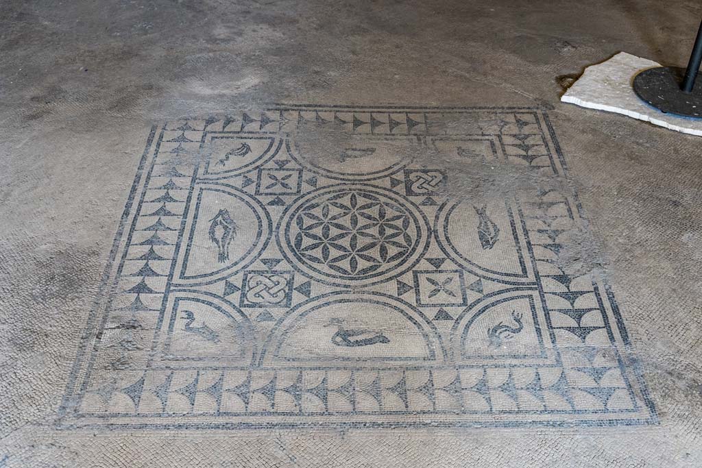 VI.8.3/5 Pompeii. April 2022. Room 12, emblema in centre of mosaic floor. Photo courtesy of Johannes Eber.

