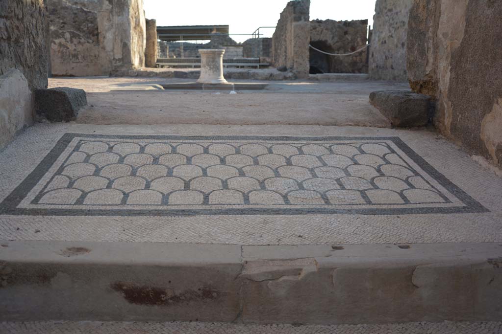 VI.10.7 Pompeii. September 2019. Looking east from entrance mosaic across atrium.
Foto Annette Haug, ERC Grant 681269 DÉCOR.

