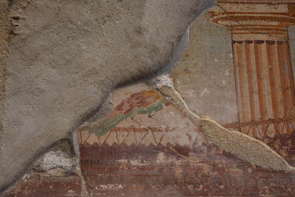 VI.11.10 Pompeii. November 2017. Room 46, detail of painted decoration from upper west wall.
Foto Annette Haug, ERC Grant 681269 DÉCOR
