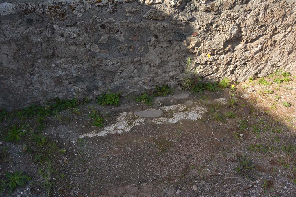 VI.11.10 Pompeii. October 2017. Room 35, traces of mosaic flooring near west wall.
Foto Annette Haug, ERC Grant 681269 DCOR
