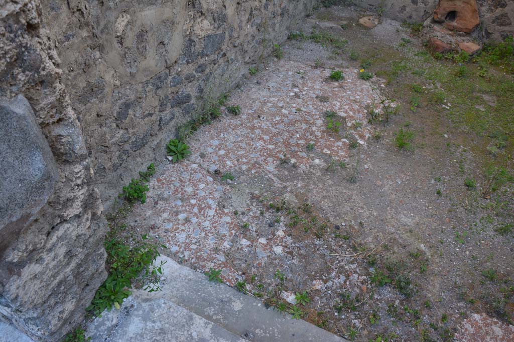 VI.11.10 Pompeii. October 2017. Room 26, detail of flooring near north wall.
Foto Annette Haug, ERC Grant 681269 DCOR

