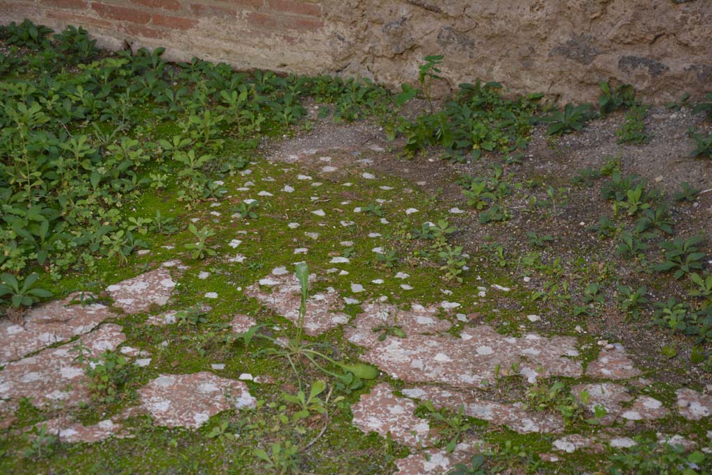 VI.11.10 Pompeii. October 2017. Room 26, detail of flooring near south wall.
Foto Annette Haug, ERC Grant 681269 DCOR

