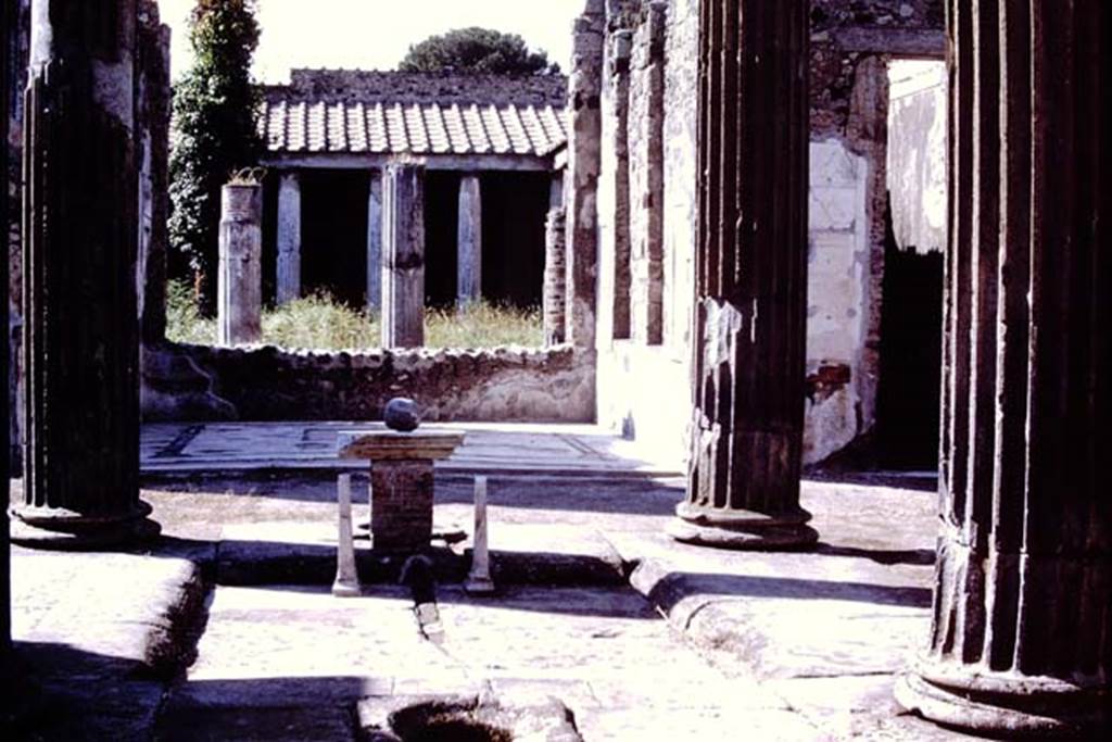 VI.11.10 Pompeii, 1978. Looking north across impluvium in atrium towards tablinum and peristyle. Photo by Stanley A. Jashemski.   
Source: The Wilhelmina and Stanley A. Jashemski archive in the University of Maryland Library, Special Collections (See collection page) and made available under the Creative Commons Attribution-Non Commercial License v.4. See Licence and use details. J78f0185
