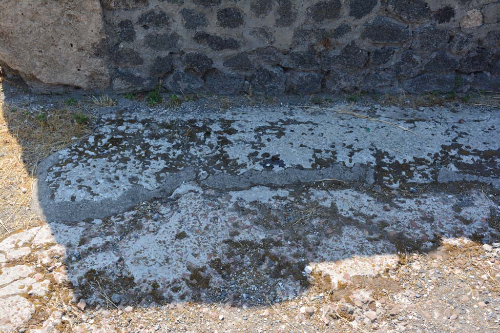 VI.12.5 Pompeii. 14th July 2017. Detail of flooring near south wall in West Ala 11.
Foto Annette Haug, ERC Grant 681269 DÉCOR.

