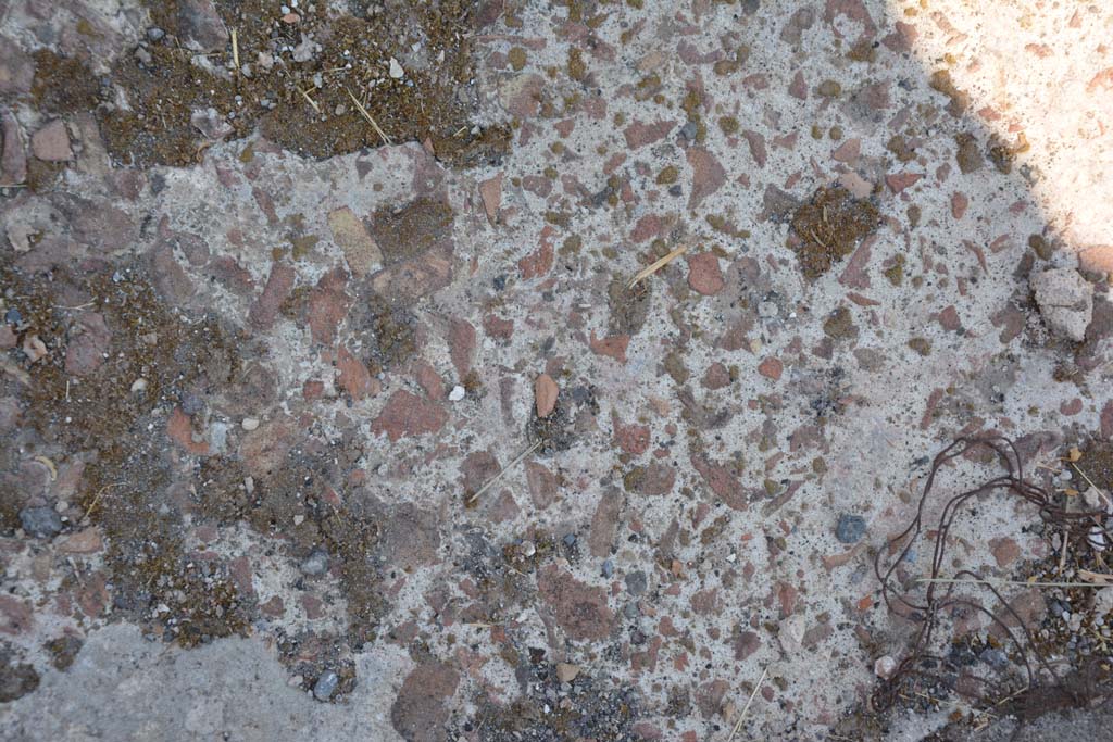 VI.12.5 Pompeii. 14th July 2017. Detail of flooring in West Ala 11
Foto Annette Haug, ERC Grant 681269 DÉCOR.

