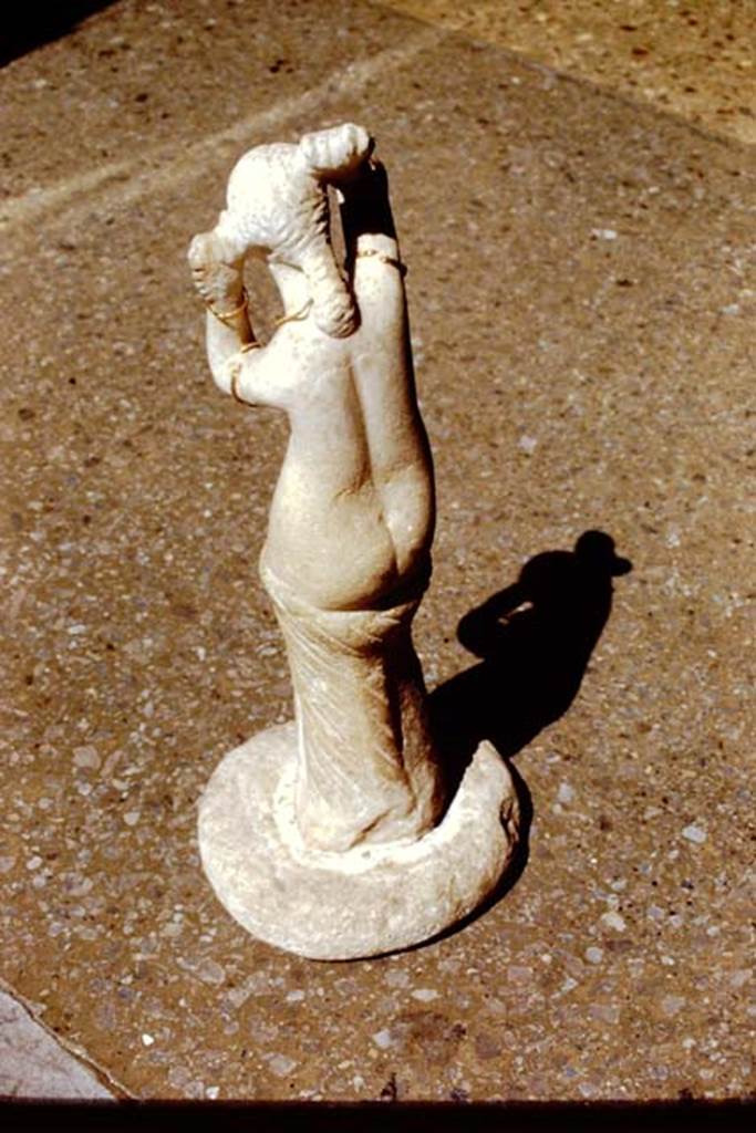 VI.14.27 Pompeii. 1971. Found in room b. Rear of marble statuette of Venus, found in the atrium on 16th April 1875. 
Now in Naples Archaeological Museum. Inventory number 110602. 
Photo by Stanley A. Jashemski.
Source: The Wilhelmina and Stanley A. Jashemski archive in the University of Maryland Library, Special Collections (See collection page) and made available under the Creative Commons Attribution-Non Commercial License v.4. See Licence and use details.
J71f0273

