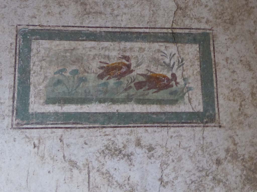 VI.15.1 Pompeii. January 2017. Painted panel from middle panel of west wall.
Foto Annette Haug, ERC Grant 681269 DÉCOR.

