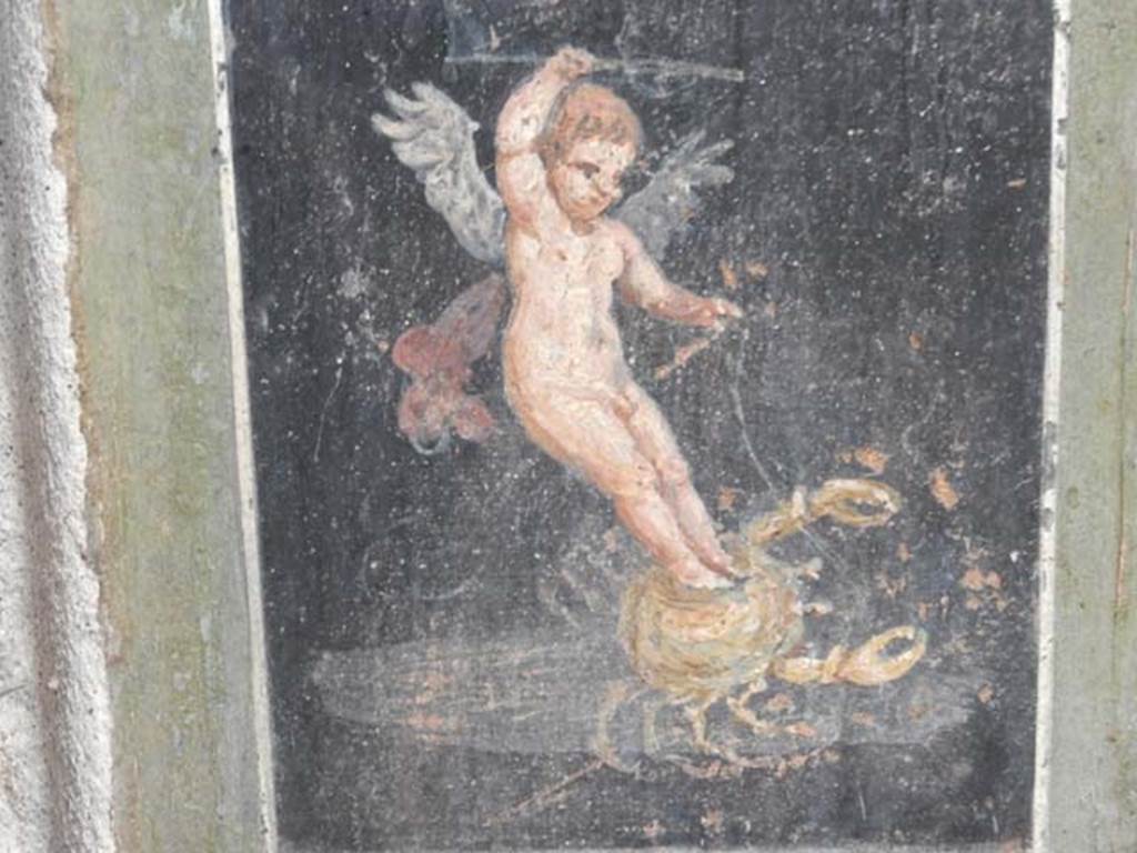 VI.15.1 Pompeii. May 2017. 
Detail of painted cupid on crab on south end of west wall of atrium, leading onto peristyle. Photo courtesy of Buzz Ferebee.

