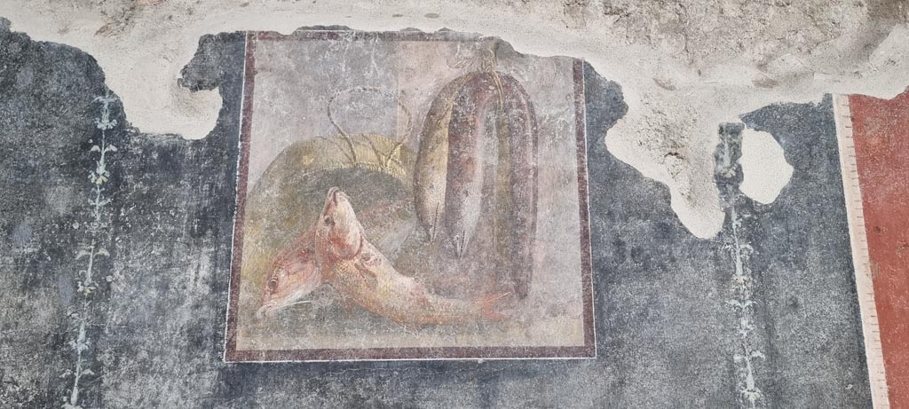 VI.15.1 Pompeii. January 2023. Painted panel from panel in south wall of peristyle. Photo courtesy of Miriam Colomer.