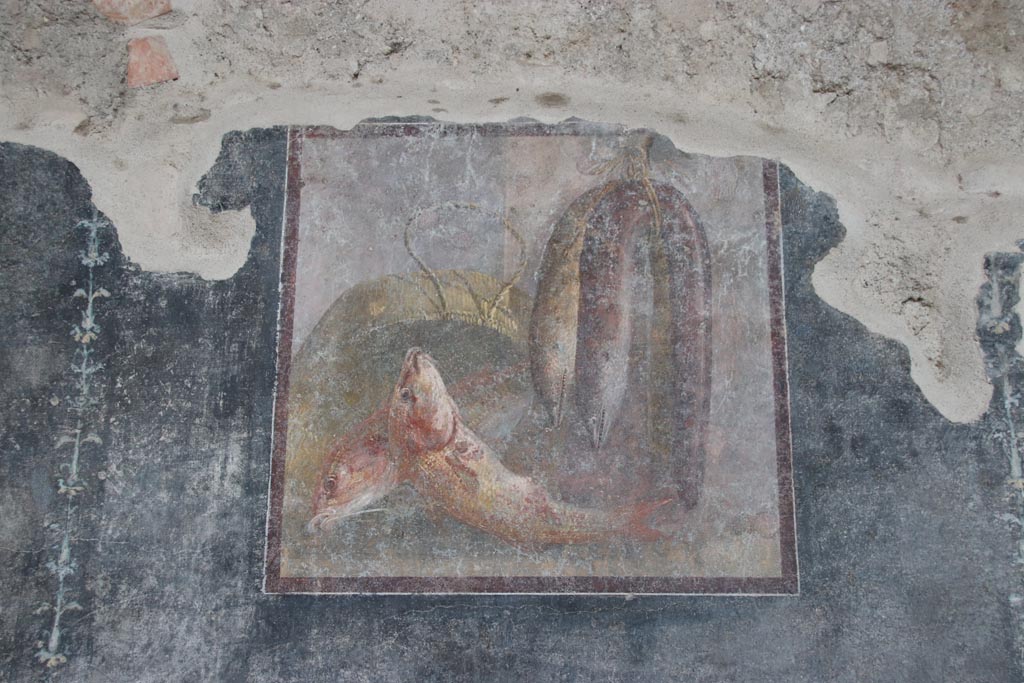 VI.15.1 Pompeii. October 2023. Painted panel with fish from south wall of peristyle. Photo courtesy of Klaus Heese.
