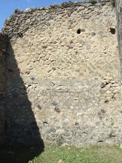 VI.15.5 Pompeii.  March 2009.   Room 7. Coloured mosaic floor, detail starting from the south (left) side.