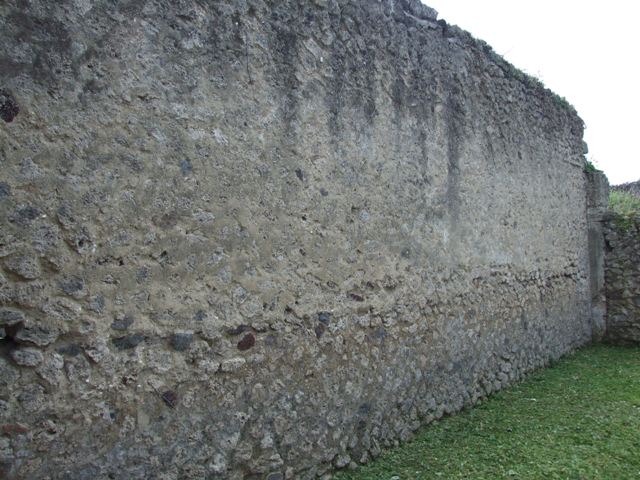 VI.15.6 Pompeii. March 2009. Room 1.  Atrium.  South wall. Looking west.