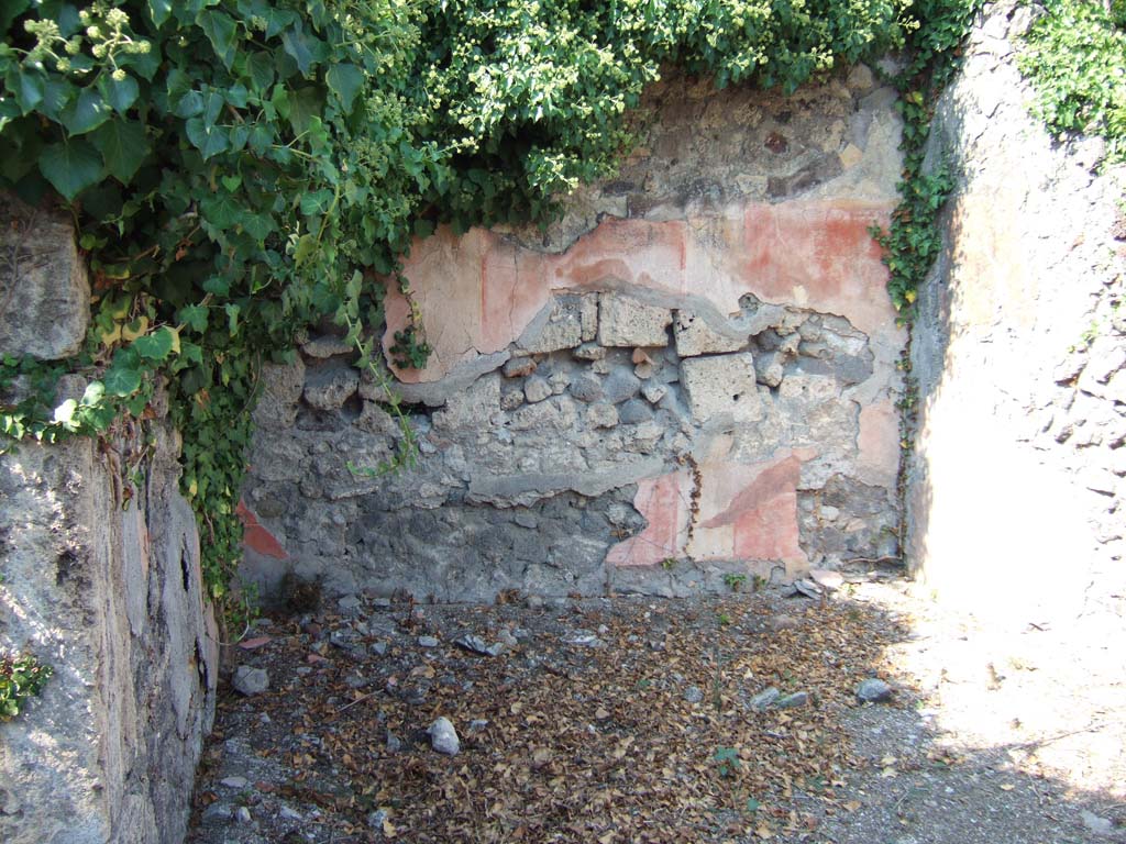 VI.15.14 Pompeii. September 2005. Remains of painted wall decoration on north wall of tablinum.
The flooring of the tablinum also contained a central emblema.
