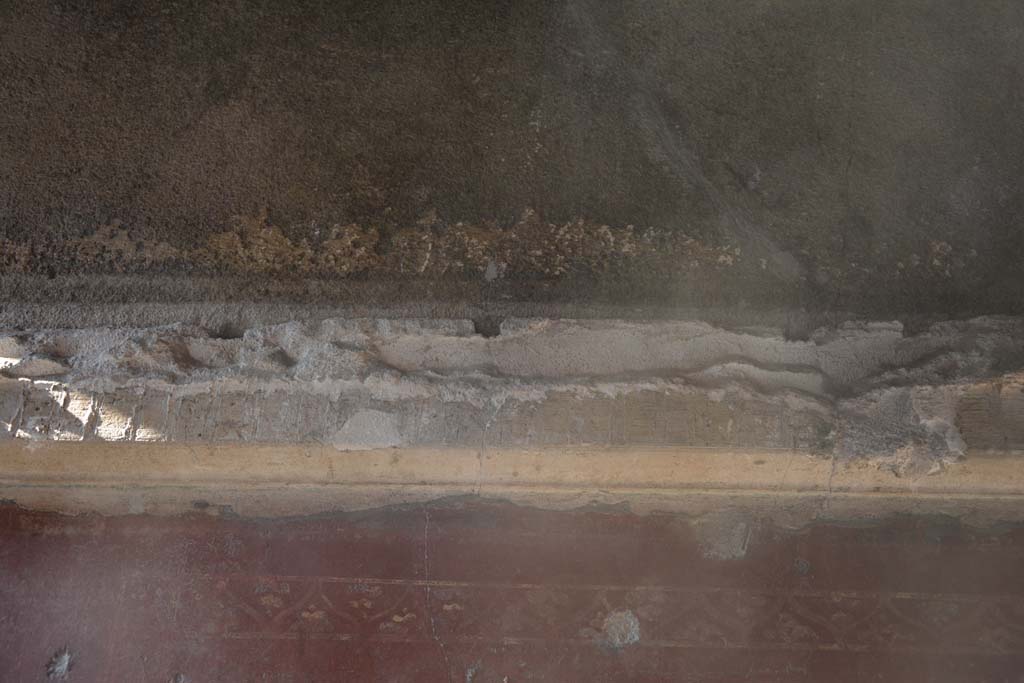 VI.16.7 Pompeii. March 2019. Cubiculum D, detail from upper north wall above central red panel. 
Foto Annette Haug, ERC Grant 681269 DÉCOR.


