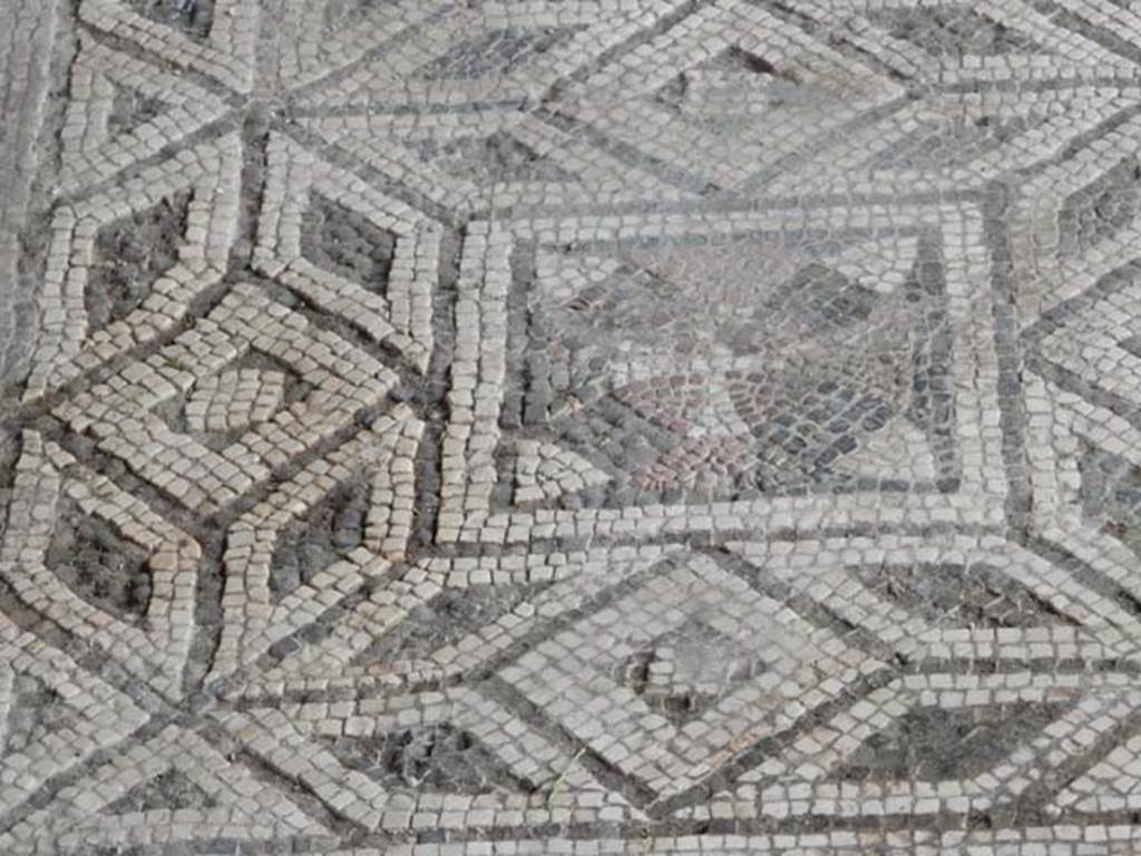 VI.16.7 Pompeii. May 2016. Room E, detail from centre mosaic. Photo courtesy of Buzz Ferebee.
