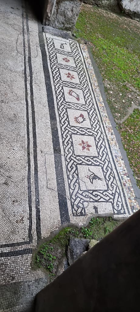 VI.16.7 Pompeii. January 2023.
Tablinum E, mosaic threshold of doorway from atrium B.
Photo courtesy of Miriam Colomer.
