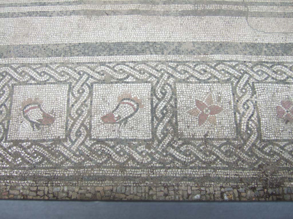 VI.16.7 Pompeii. May 2006. Room E, detail from mosaic floor doorway threshold in tablinum.