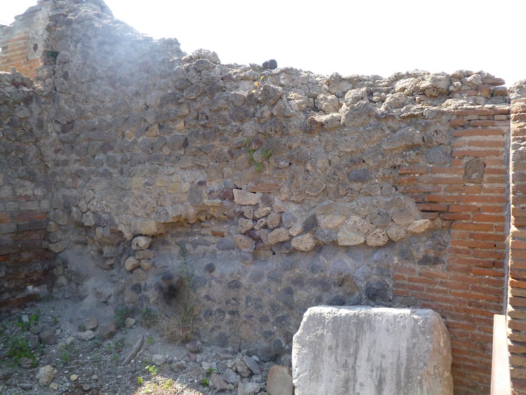 VI.17.38 Pompeii. May 2011. North wall. Photo courtesy of Michael Binns.