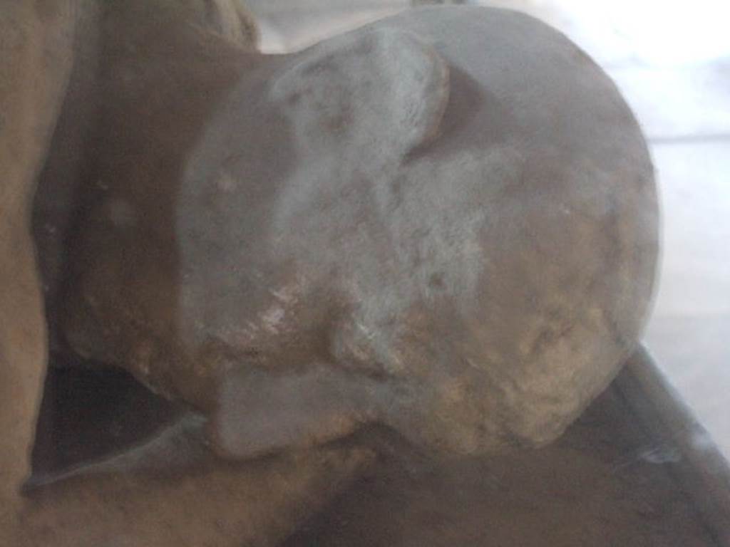 VII.1.8 Pompeii. September 2005. Detail of head of plaster cast of body, in men’s changing room 2.