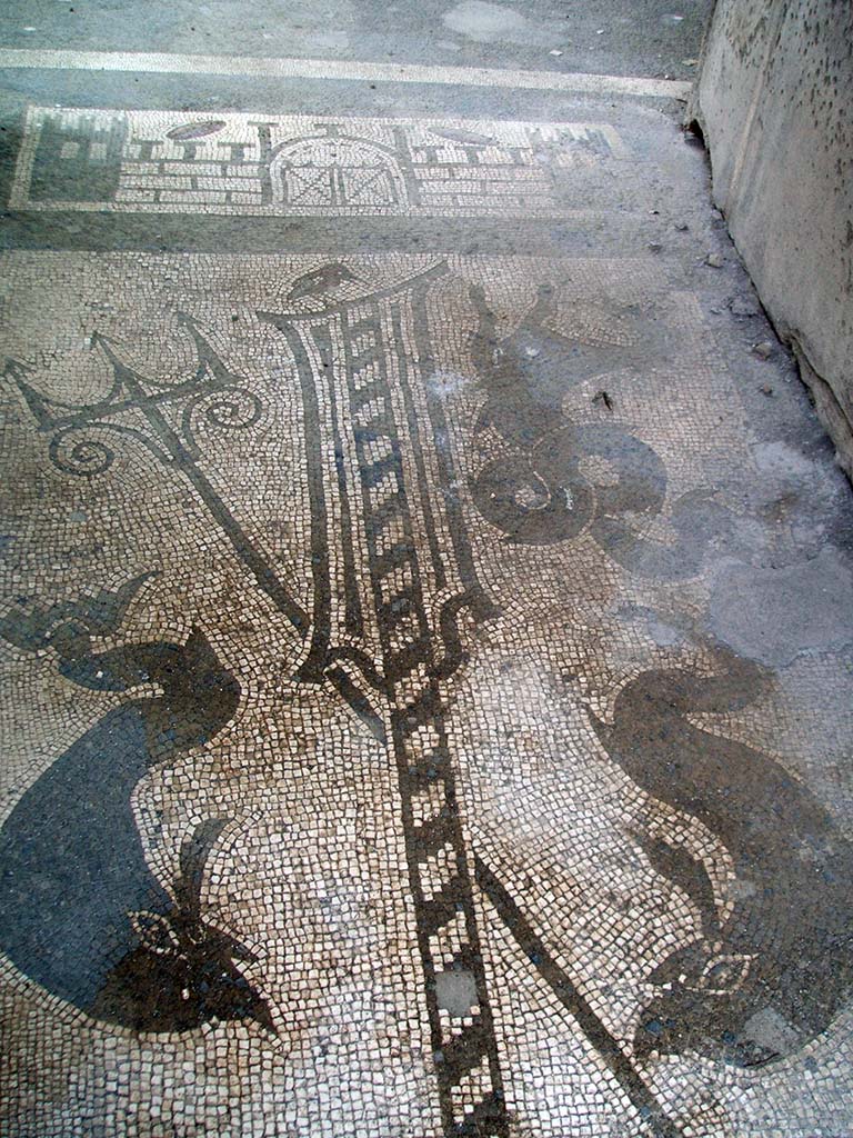 VII.1.40 Pompeii. December 2004. Mosaic in entrance corridor.