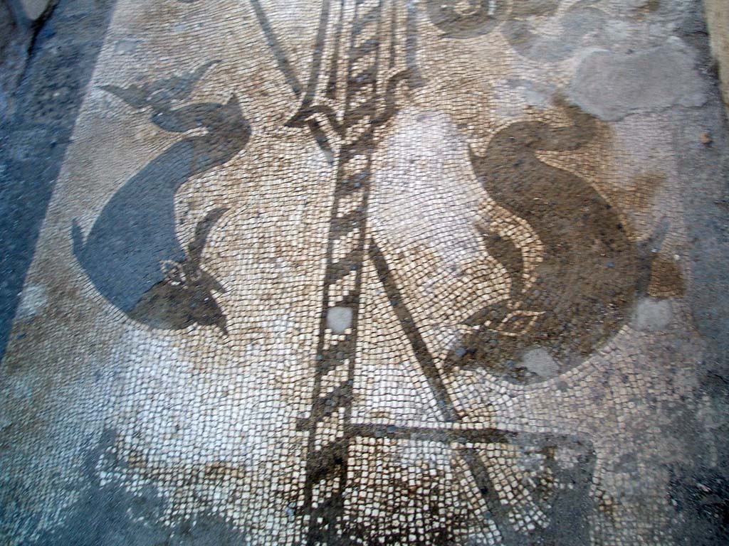 VII.1.40 Pompeii. May 2017. North end of black and white mosaic, near entrance doorway. Photo courtesy of Buzz Ferebee. 

