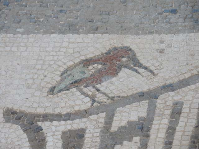 VII.1.40 or 42 Pompeii. Pre-1937-39. South end of mosaic, detail of bird.
Photo courtesy of American Academy in Rome, Photographic Archive. Warsher collection no. 303.
