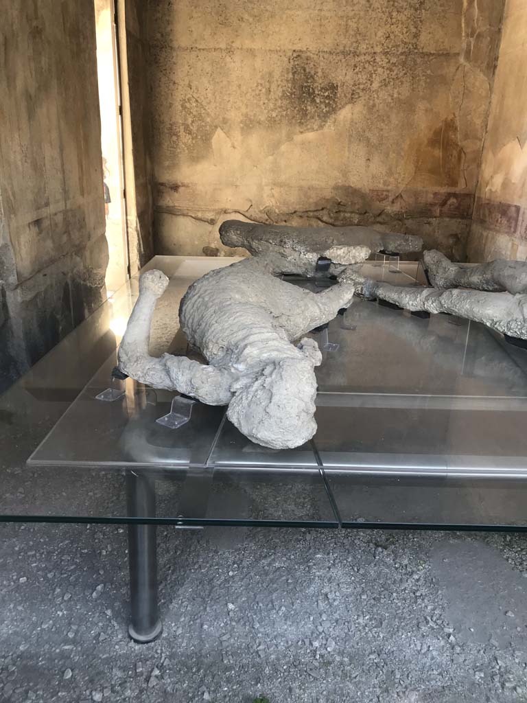 VII.1.47 Pompeii. April 2019. Room 8, looking towards south-west corner, and west wall. 
The doorway to corridor 7 is at the west end of the south wall. Photo courtesy of Rick Bauer.

