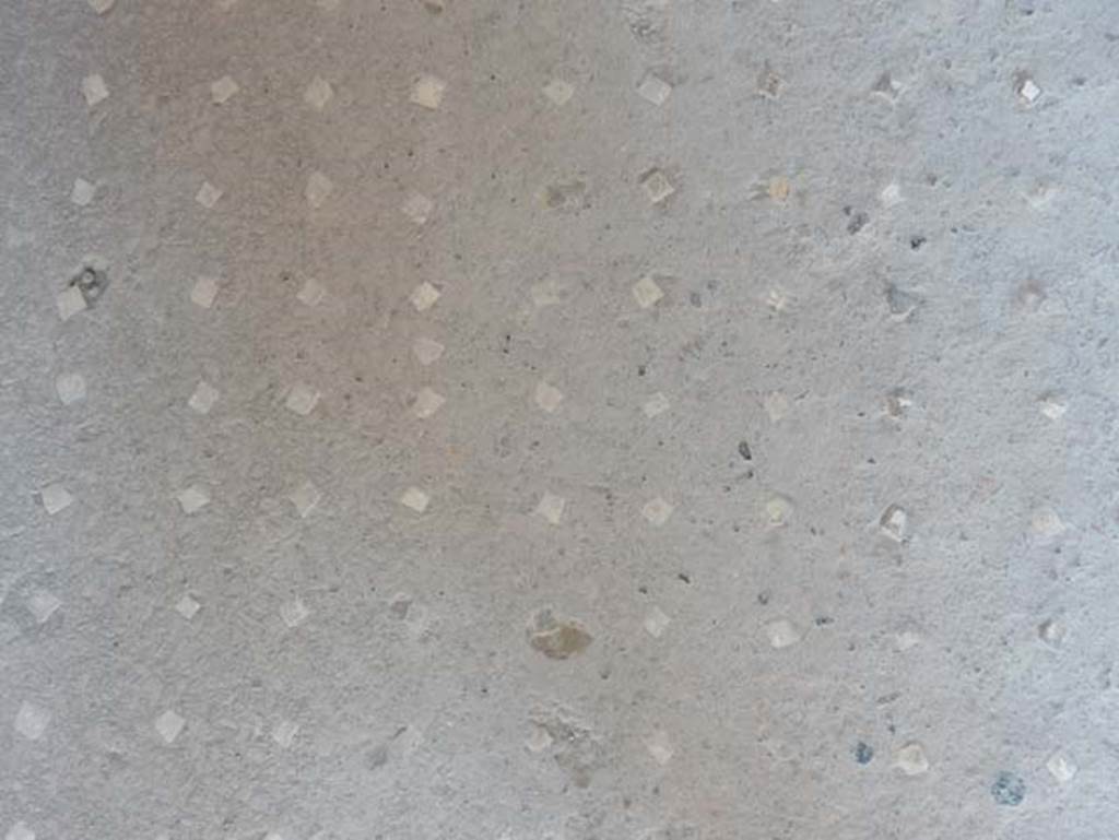 VII.1.47 Pompeii. May 2017. Detail of flooring in corridor 1. Photo courtesy of Buzz Ferebee.
