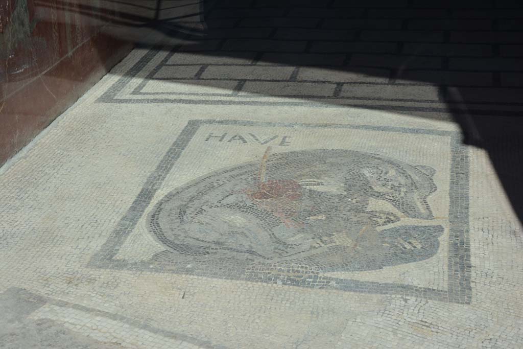 VII.2.45 Pompeii. March 2017. Mosaic floor in vestibule. Photo courtesy Adrian Hielscher.