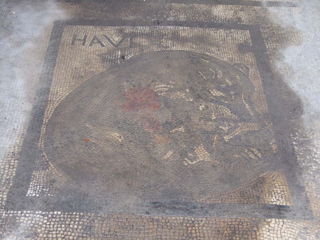 VII.2.45 Pompeii. December 2007. Mosaic of bear with inscription HAVE.