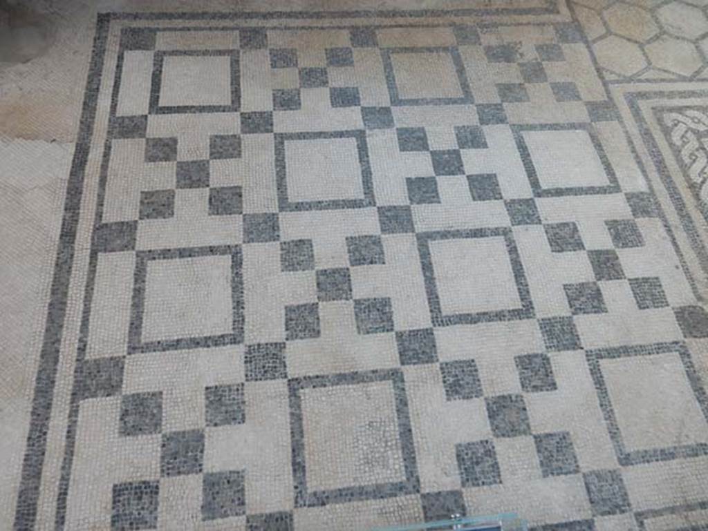 VII.2.45 Pompeii, May 2018. Detail of mosaic floor in atrium. Photo courtesy of Buzz Ferebee.
