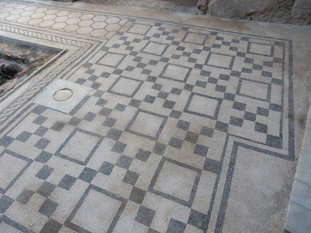 VII.2.45 Pompeii, May 2018. Atrium flooring near cistern mouth. Photo courtesy of Buzz Ferebee.