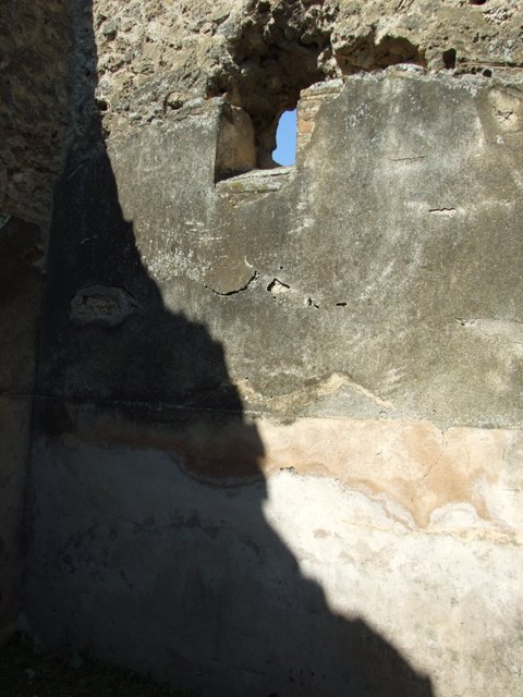 VII.3.29 Pompeii.  March 2009.  Room 4.  West wall.


