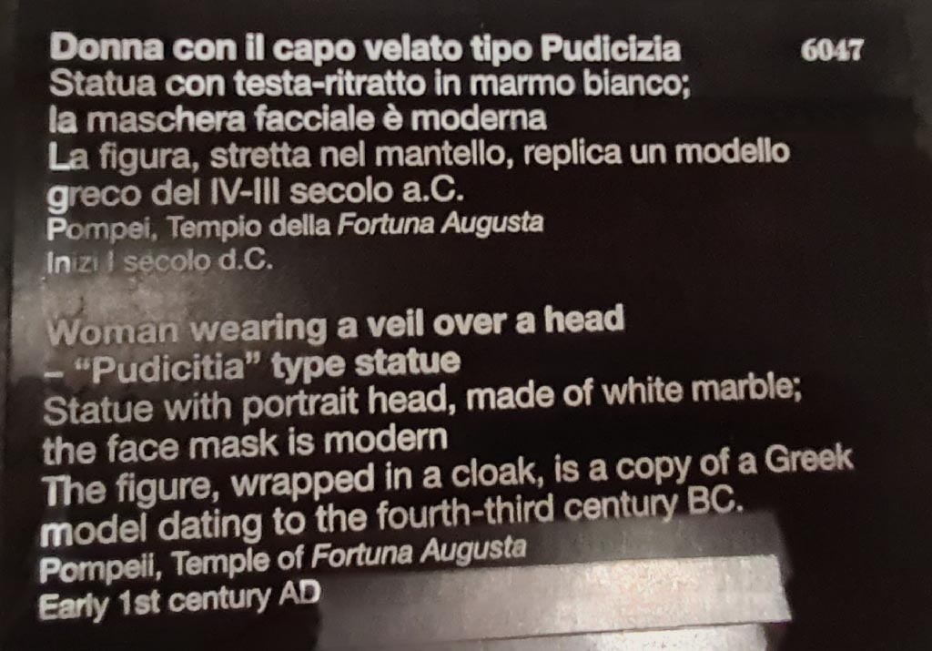 VII.4.1 Pompeii. April 2023. Descriptive card. Photo courtesy of Giuseppe Ciaramella.