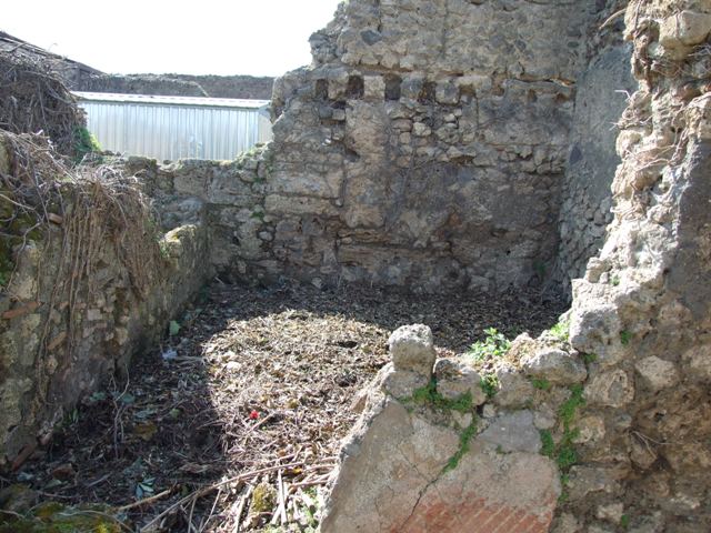 VII.4.29 Pompeii.  March 2009. Small room or cupboard with painted plaster, on north side of courtyard or garden

