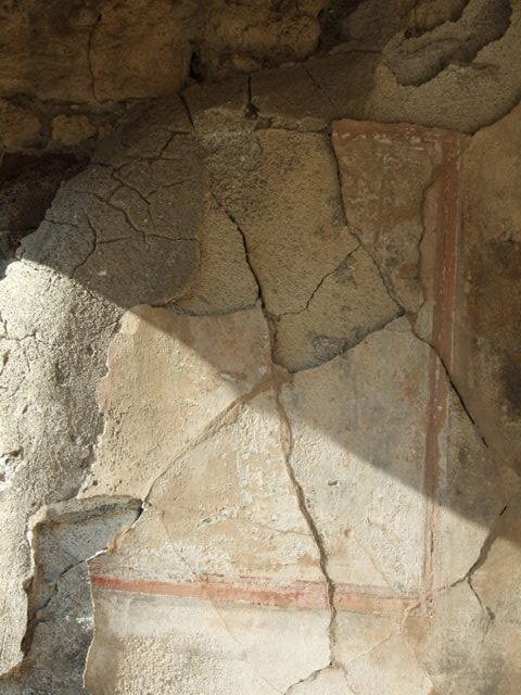 VII.4.31 Pompeii.  March 2009.  Room 27. Cellar. South wall.