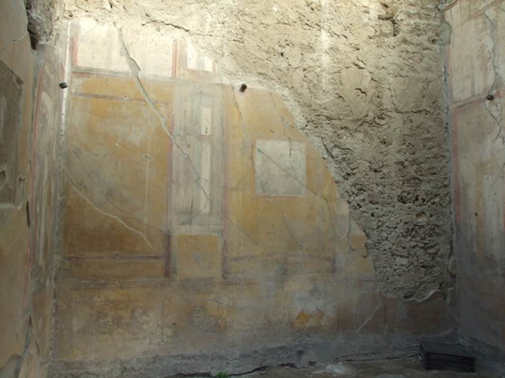 VII.4.31 Pompeii.  March 2009.  Room 12. Oecus. East wall.