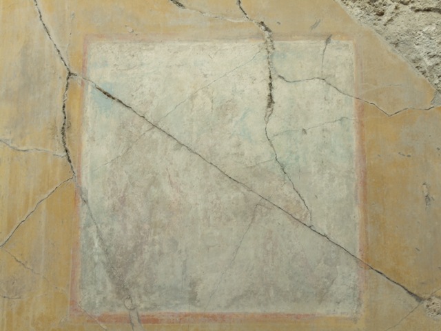  VII.4.31 Pompeii.  March 2009.  Room 12.  Oecus.  East wall.
