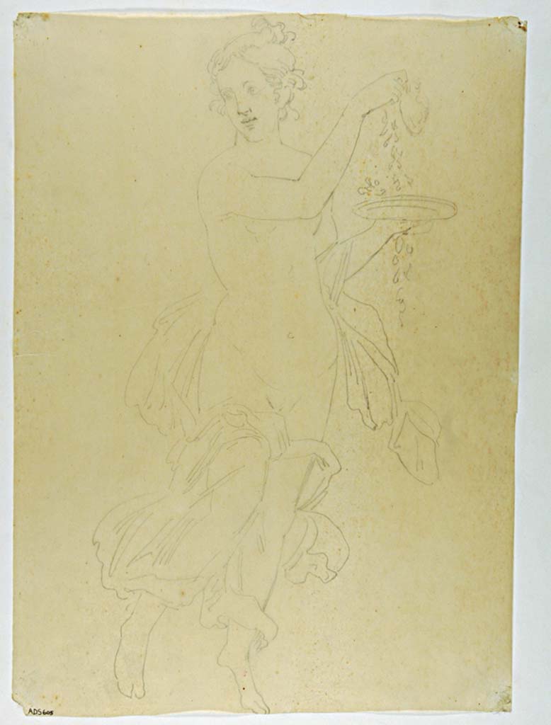 VII.4.31/51 Pompeii. Drawing by Antonio Ala of flying female figure holding a plate and a long garland.
The description gives this as being found on the “right” side of Danae on the upper west wall.
Now in Naples Archaeological Museum. Inventory number ADS 605.
Photo © ICCD. http://www.catalogo.beniculturali.it
Utilizzabili alle condizioni della licenza Attribuzione - Non commerciale - Condividi allo stesso modo 2.5 Italia (CC BY-NC-SA 2.5 IT)
