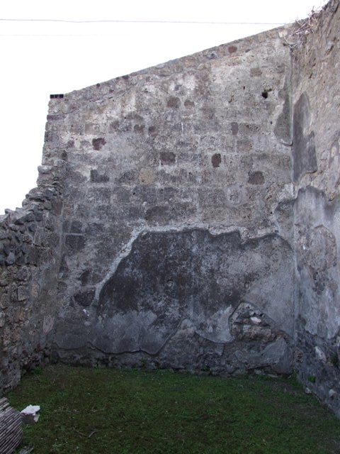 VII.4.31 Pompeii.  March 2009.  Rooom 12. Oecus.  Lower West wall.