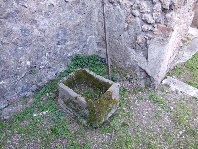 VII.4.31 Pompeii.  March 2009.  Room 12.  Oecus. North wall with window overlooking peristyle.