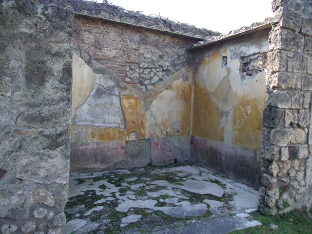 VII.4.31 Pompeii.  March 2009.  Room 12.  Oecus.  North Wall.