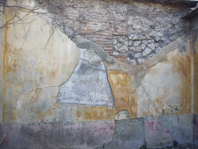 VII.4.31 Pompeii.  March 2009.  Room 11.  Corridor.  Steps at north end leading to Peristyle.